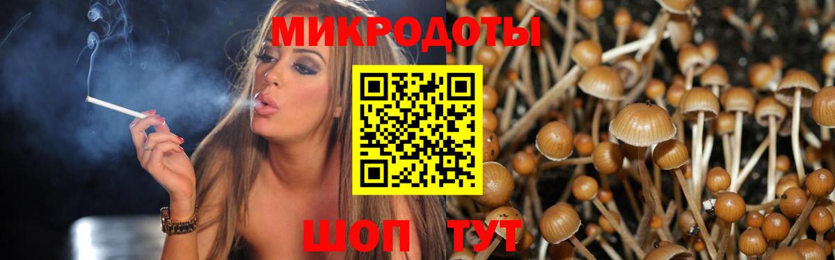 Галлюциногенные грибы ЛСД  Псилоцибиновые грибы ЛСД  Вход с VPN  Томск 